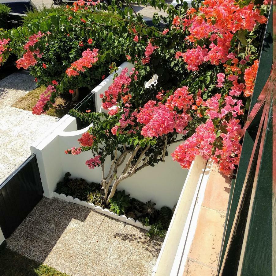 La Barrosa Duplex Villa Chiclana de la Frontera Dış mekan fotoğraf