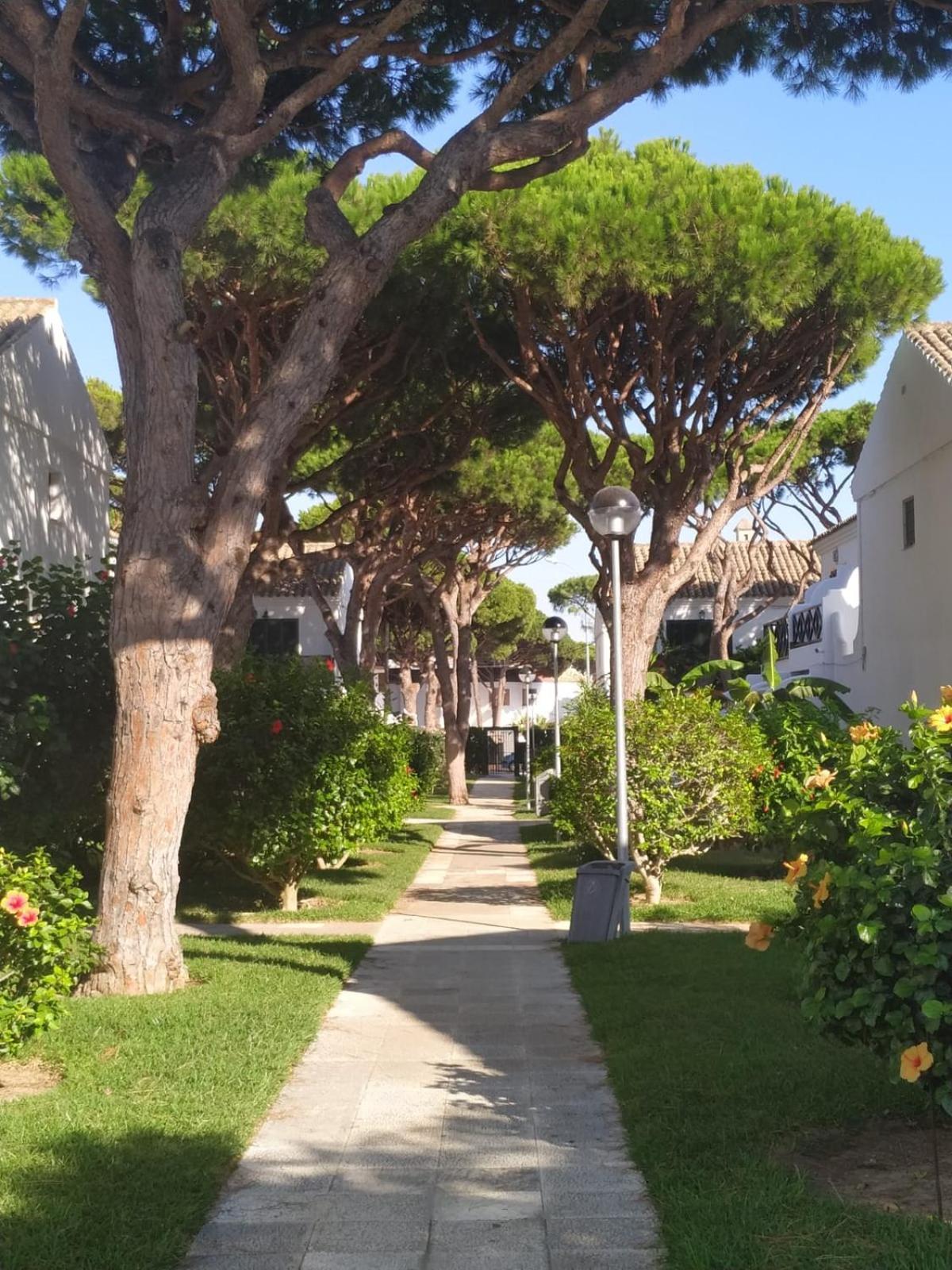 La Barrosa Duplex Villa Chiclana de la Frontera Dış mekan fotoğraf